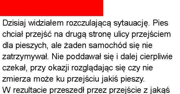 Rozczulająca sytuacja
