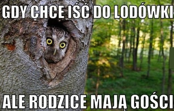 Gdy w domu są goście
