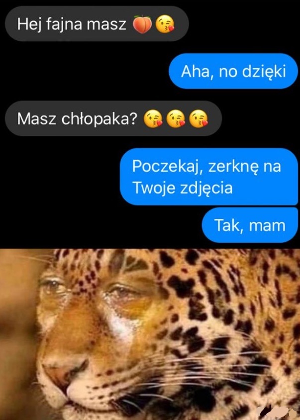 Podcięcie skrzydeł :D
