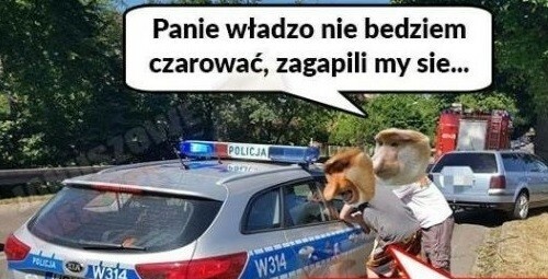 Mandat dla Janusza :D