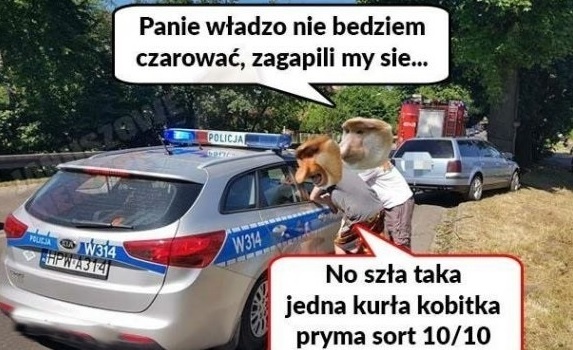 Mandat dla Janusza :D