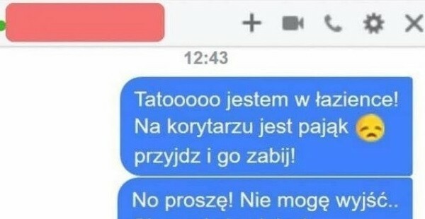 Groźny pająk :D
