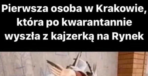 Gołębie po kwarantannie 