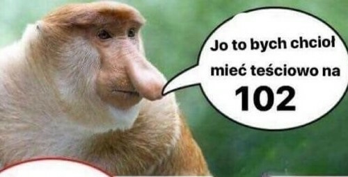 Marzenie o idealnej teściowej