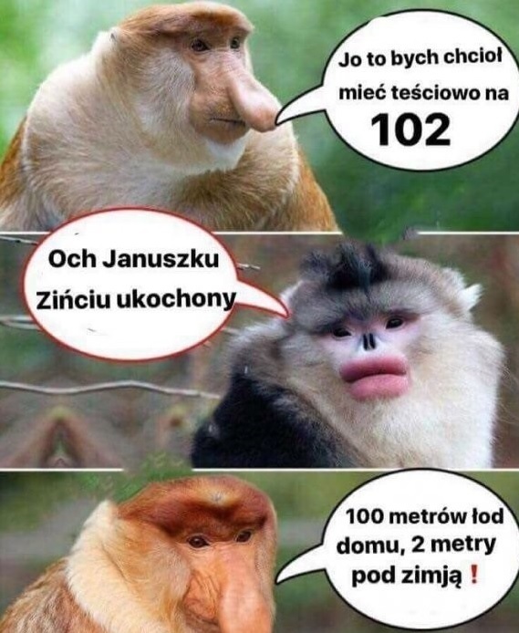 Marzenie o idealnej teściowej