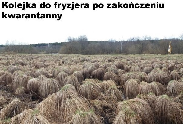 Oblężenie zakładów fryzjerskich
