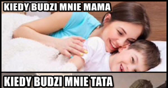 Pobudka