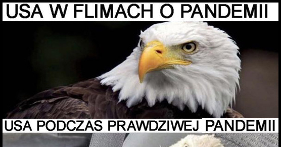 USA i pandemia :D