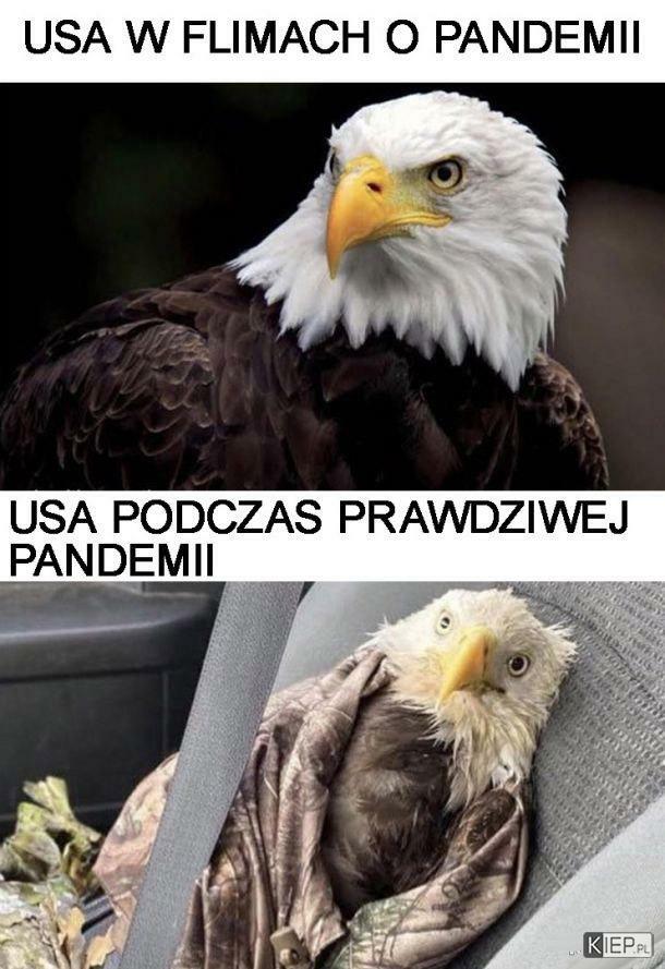 USA i pandemia :D