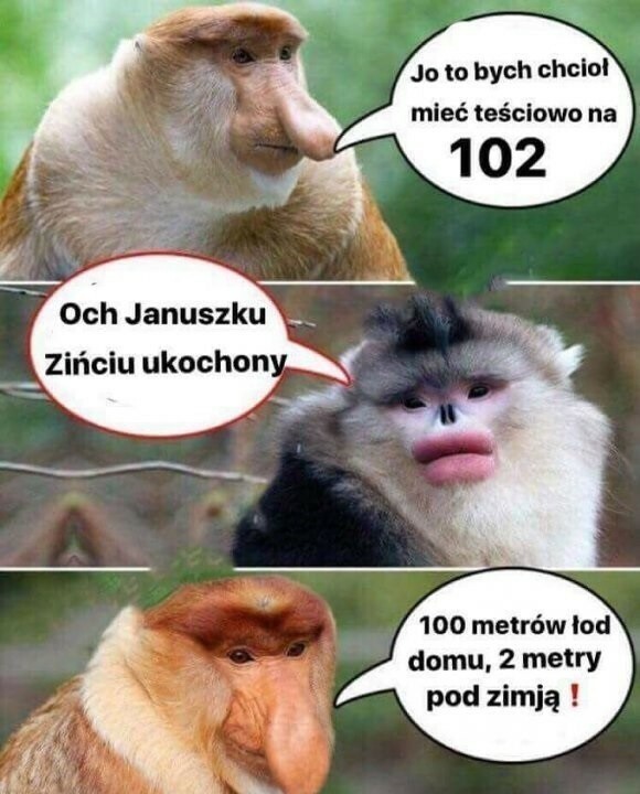 Zięciu kochany :D