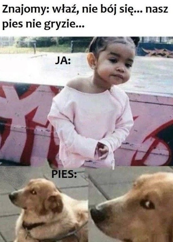 Kiedy nie ufasz psu znajomego 