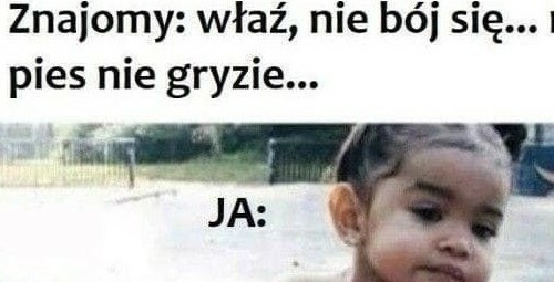 Kiedy nie ufasz psu znajomego 
