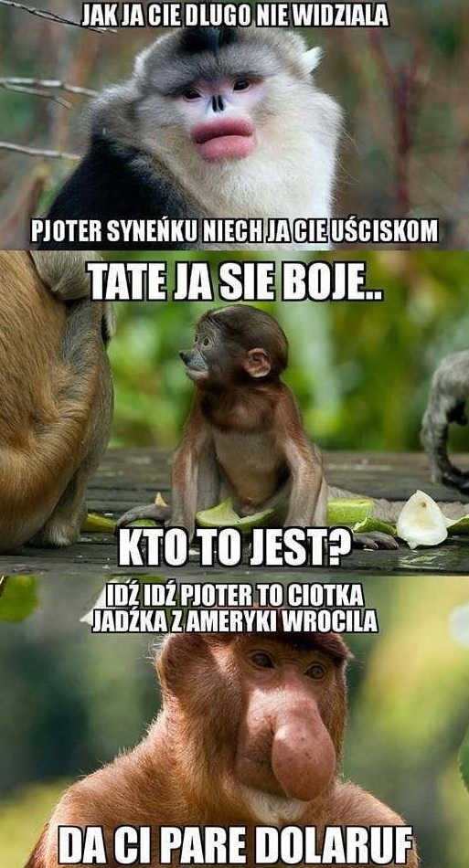 Odwiedziny cioci z Ameryki :D