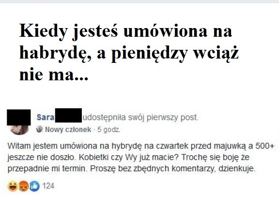 Poszukiwanie straconego 500+