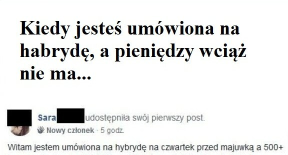Poszukiwanie straconego 500+