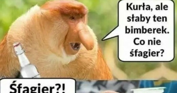 Kiedy pijesz bimberek :D