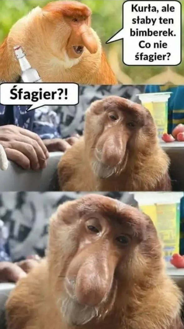 Kiedy pijesz bimberek :D