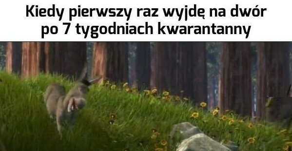 Kiedy w końcu wyjdziesz z domu :D