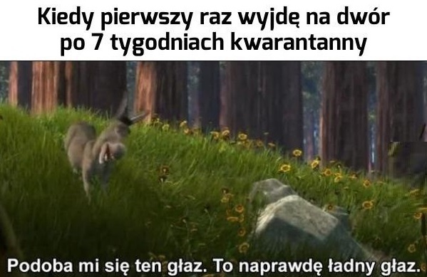 Kiedy w końcu wyjdziesz z domu :D