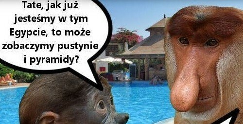 Janusz w Egipcie :D