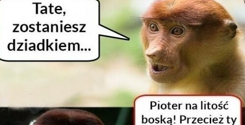 Gdy Janusz ma zostać dziadkiem :D