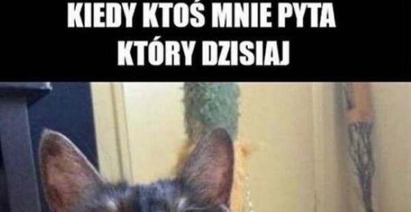 Gdy wszystko ci się miesza... :D
