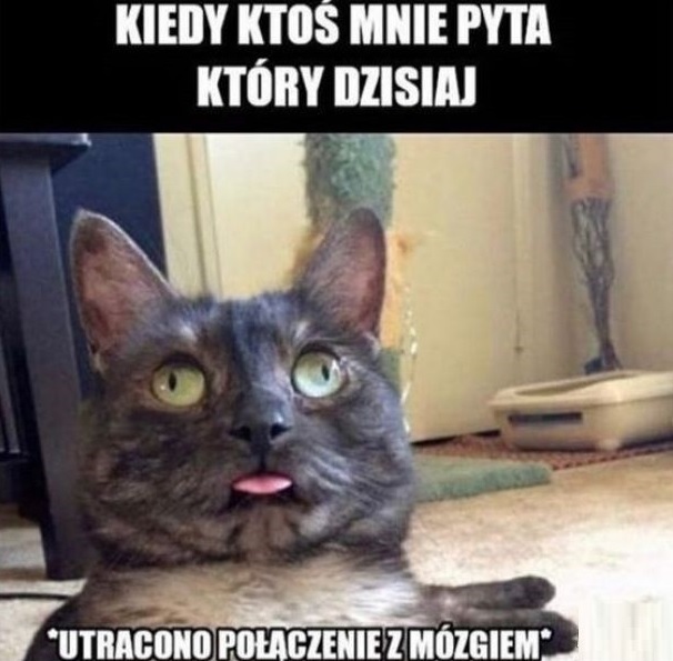 Gdy wszystko ci się miesza... :D