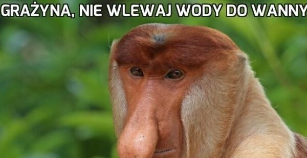 Oszczędność wody :D