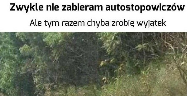 Ciekawy autostopowicz :D
