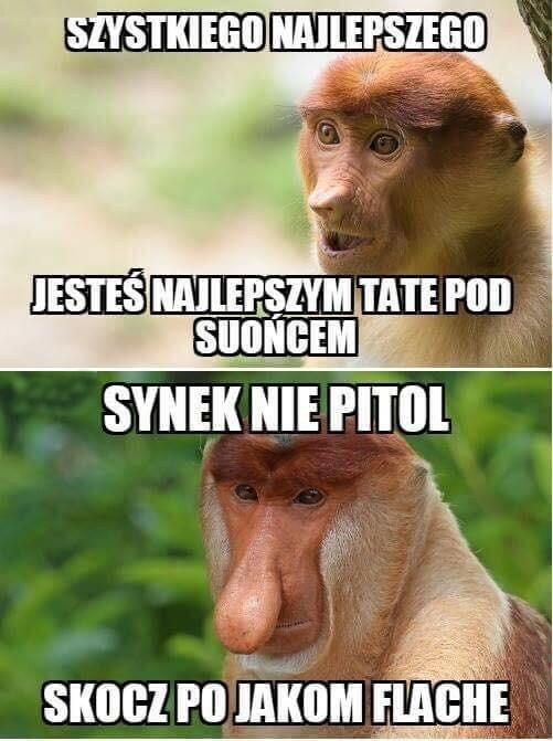 Święto Janusza