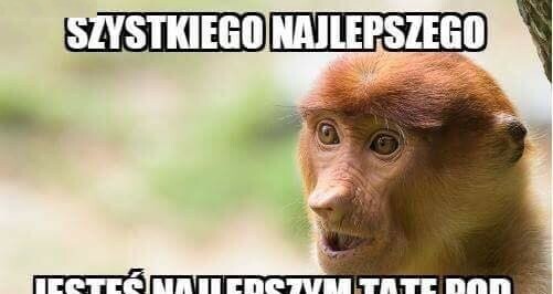 Święto Janusza