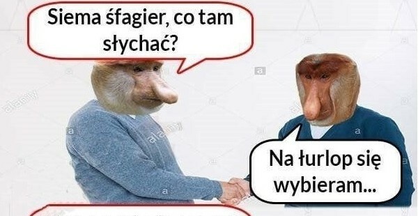 Urlop Janusza :D