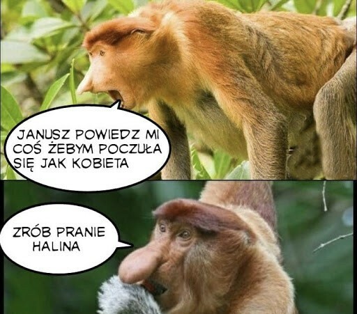 Janusz komplementu