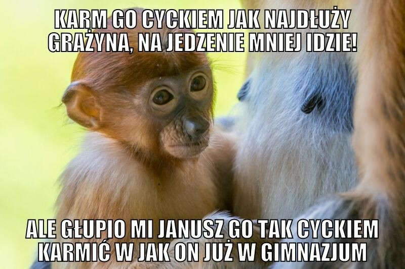 Kontrowersyjne karmienie :P