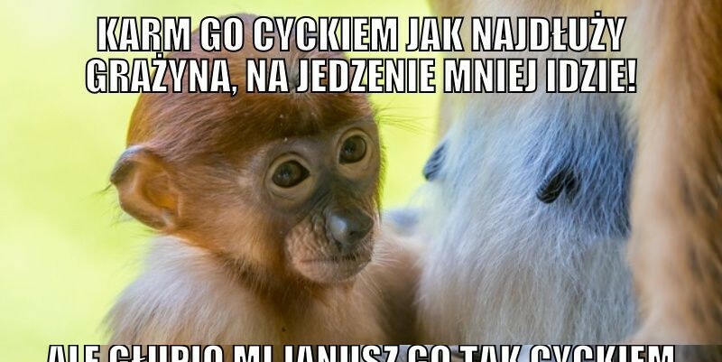 Kontrowersyjne karmienie :P