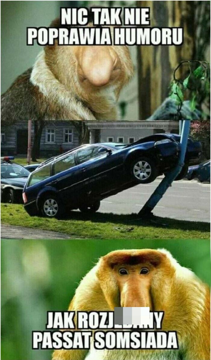 Nic tak nie poprawia humoru :D