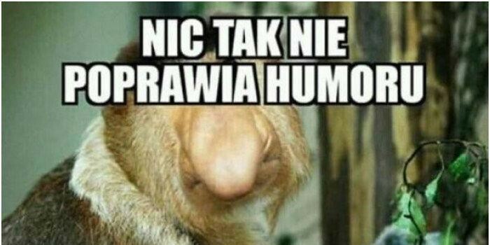 Nic tak nie poprawia humoru :D