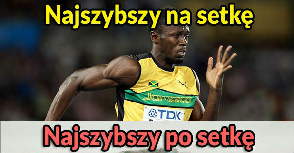 Setka :D