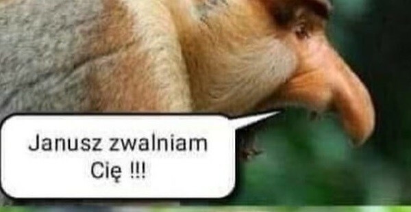 Zwolnienie Janusza