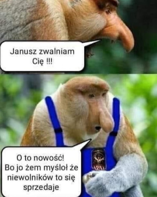 Zwolnienie Janusza