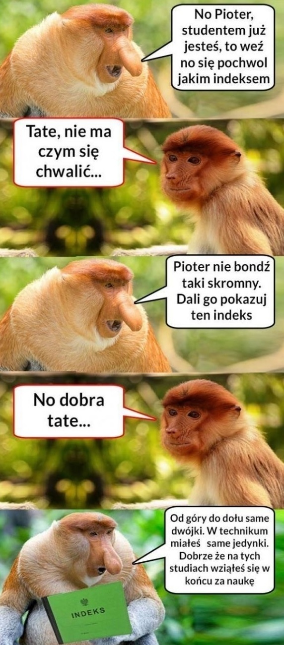 Indeks Pjotera :D