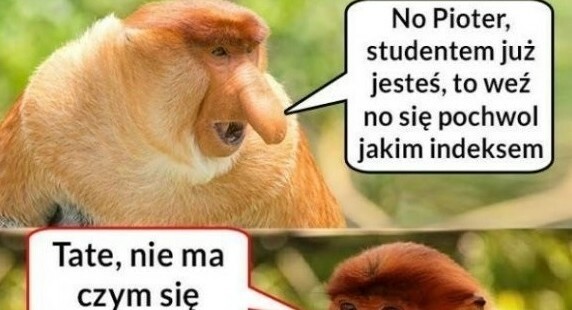 Indeks Pjotera :D