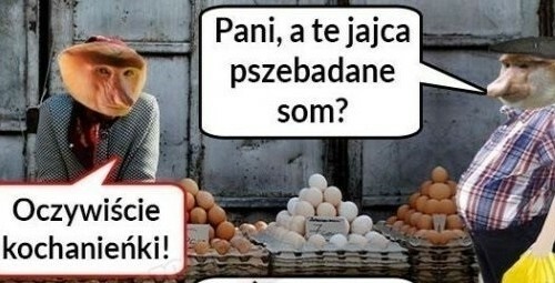 Janusz kupuje jajka :D