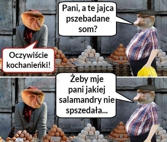 Janusz kupuje jajka :D