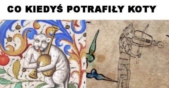 Koty kiedyś vs teraz :D 