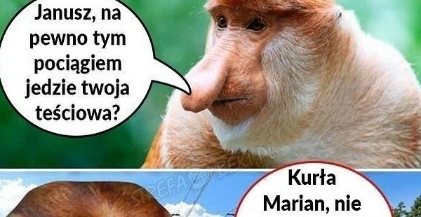 Przyjazd teściowej :D