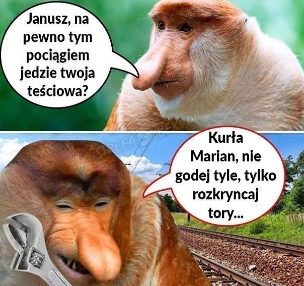Przyjazd teściowej :D