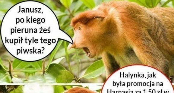 Janusz i piwo :D