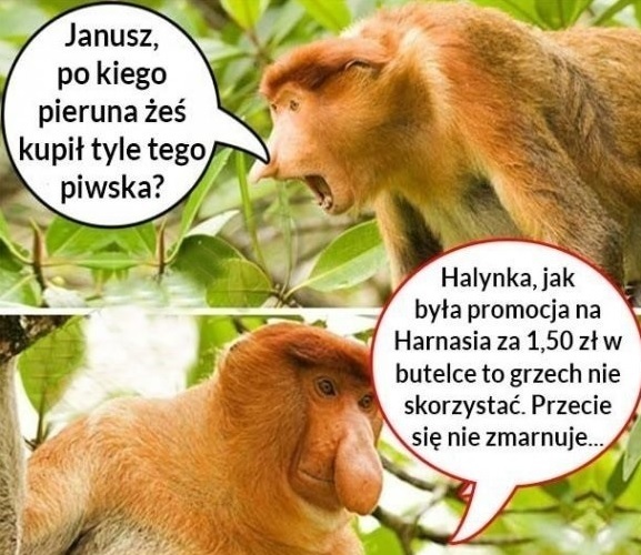 Janusz i piwo :D