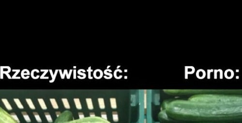 Porno vs rzeczywistość